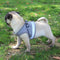 Secure Reflective Harness Set For Small Pets