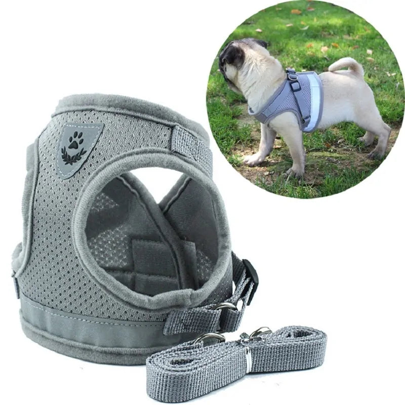 Secure Reflective Harness Set For Small Pets