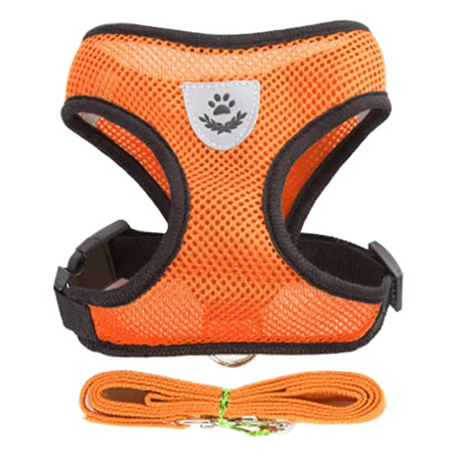 Pet Harness