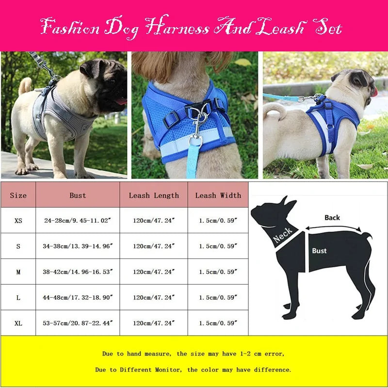 Secure Reflective Harness Set For Small Pets