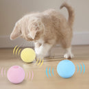 Interactive Ball Catnip Cat Training Toy