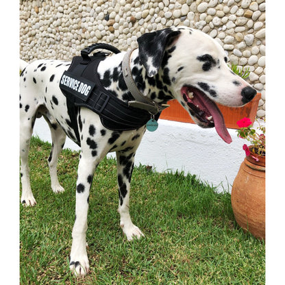 Adjustable Dog Harness