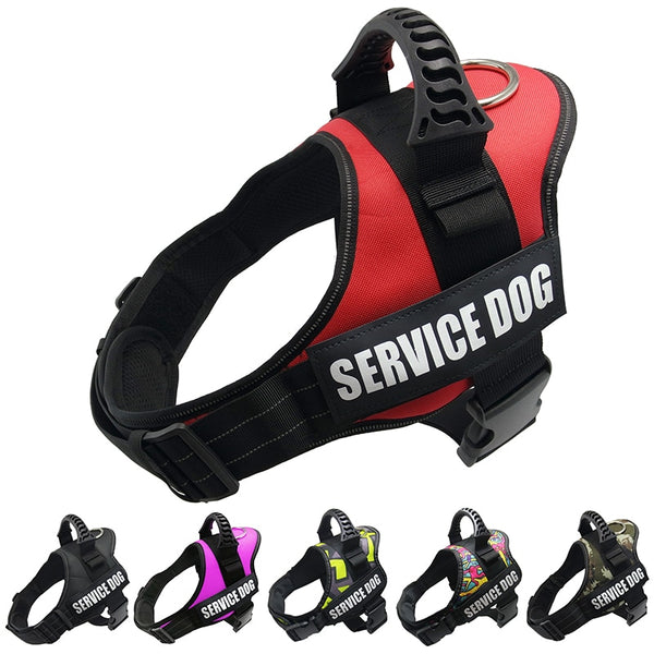 Adjustable Dog Harness