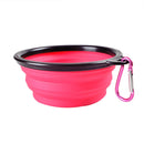 Foldable Cup Dish for Dogs