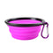 Foldable Cup Dish for Dogs