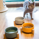 Raised Cat Food Bowl