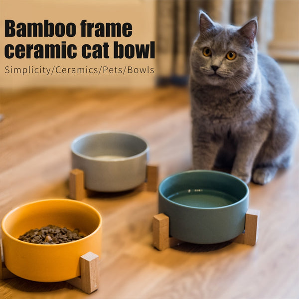 Raised Cat Food Bowl