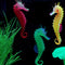 Silicone  Luminous Fish Tank Aquarium  Sea Horse Decoration