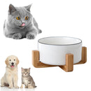 Raised Cat Food Bowl