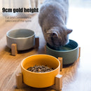 Raised Cat Food Bowl