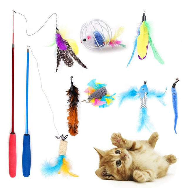 Pets Toys Value Bundle