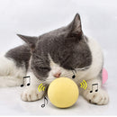 Interactive sound Cat Toys