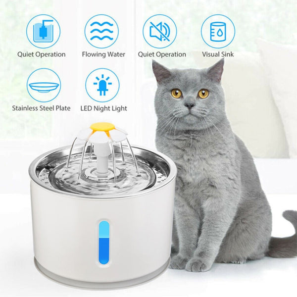 Pet Water Fountain