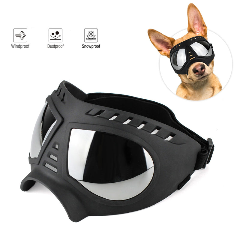 Dog Eye Wear