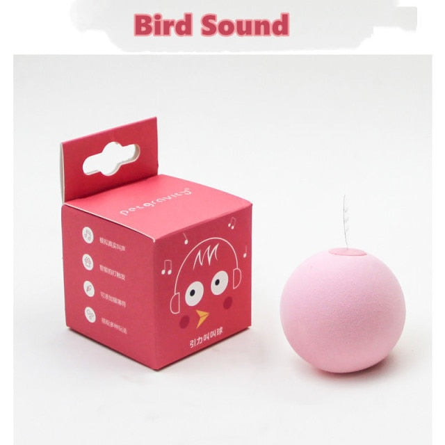 Interactive sound Cat Toys