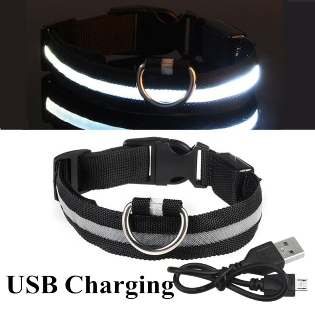 LED Glowing Dog Collar